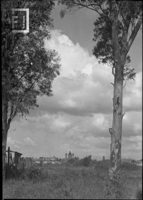 Arboles en primer plano y catedral (entonces parroquia) a lo lejos