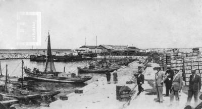 Grupo de nicoleños en el puerto de Mar del Plata