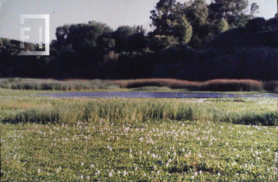 Laguna La Esmeralda 