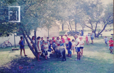 Grupo niños con poni