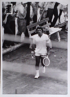 Tenis