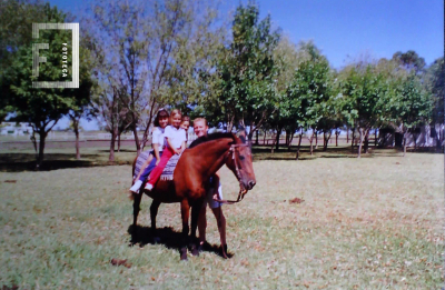 Niños montados en caballo