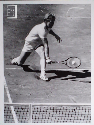 Tenis