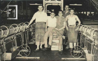 Amigos del cordado 