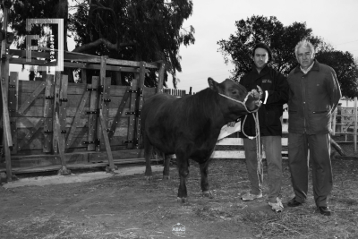 Cabaña Don Félix  - Oscar y Matías Galizio