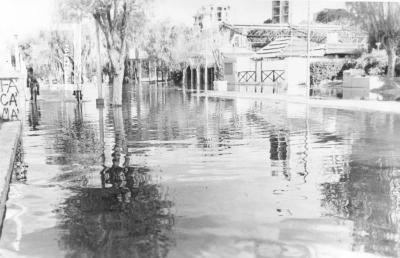 Creciente del Paraná (4, 61 m), costanera inundada