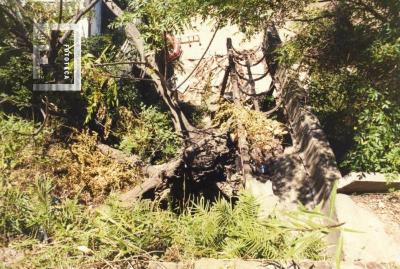 Parque San Martín y barrancas con deterioro por erosión