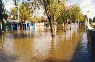 Creciente del Paraná (4, 66 m), costanera inundada