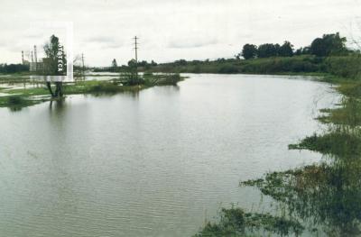 Creciente del Paraná, arroyo de Ramallo desbordado