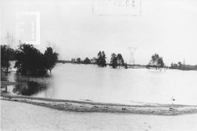 Creciente del Paraná, arroyo de Ramallo desbordado