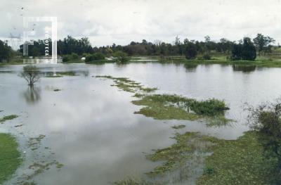 Creciente del Paraná, arroyo de Ramallo desbordado