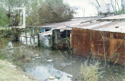 Creciente del Paraná