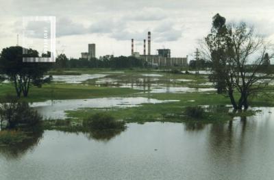 Creciente del Paraná, arroyo de Ramallo desbordado