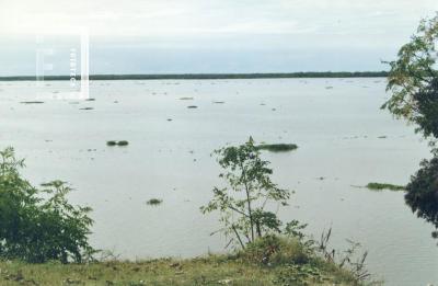 Creciente del Paraná