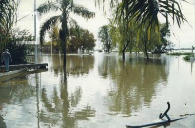 Creciente del Paraná, Costanera inundada