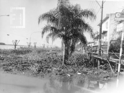 Creciente del Paraná, Costanera inundada