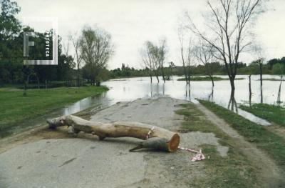 Creciente del Paraná, arroyo de Ramallo desbordado