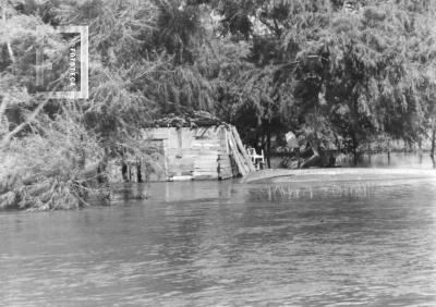 Creciente del Paraná, Martín Chico, rancho en la isla