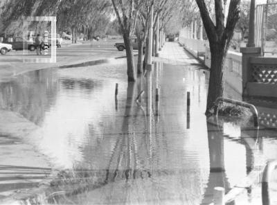 Creciente del Paraná, Costanera inundada