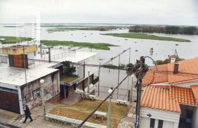 Creciente del Paraná