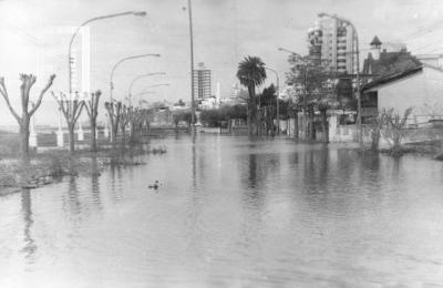 Creciente del Paraná, Costanera inundada
