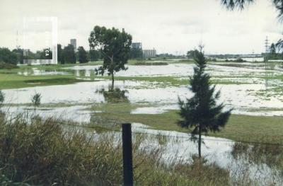 Creciente del Paraná, arroyo de Ramallo desbordado