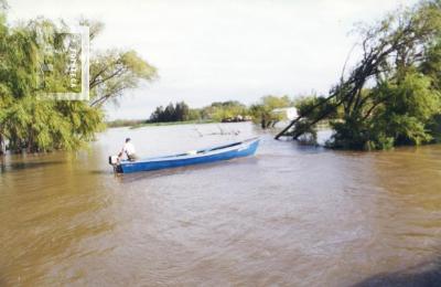 Creciente del Paraná