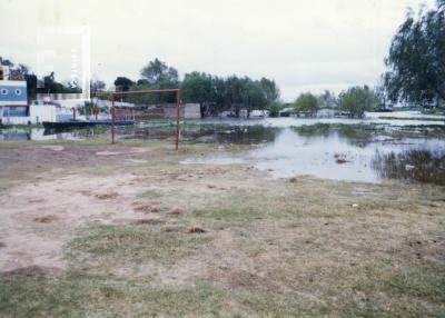Creciente del Paraná, zona baja inundada