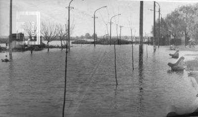 Creciente del Paraná, Costanera inundada