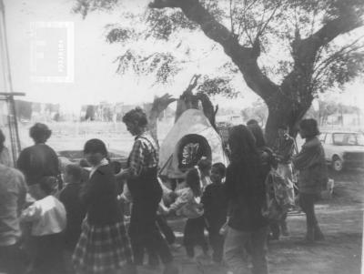 Granja educativa "El Molino"