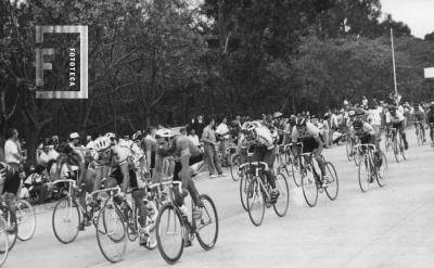 Ciclismo, pelotón carrera principal