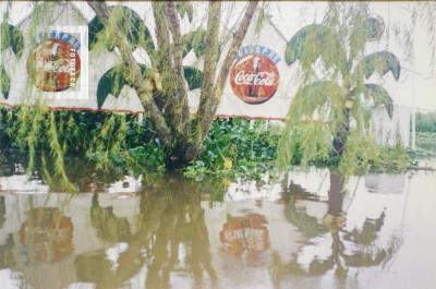 Inundación. Av. Costanera