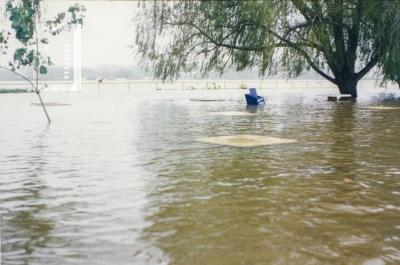 Inundación. Av. Costanera