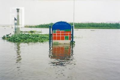 Inundación. Av. Costanera