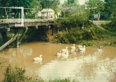 Puente viejo zanja Doña Melchora, calle G. Nacionales