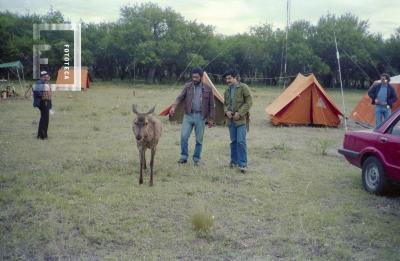 Concurso Radioaficionados //Emergencias 82//, en Parque Luro, La Pampa