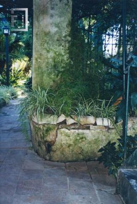 Patio y Jardines Museo