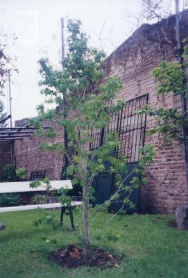 Jardín del Museo