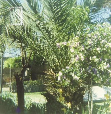 Jardín del Museo