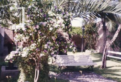 Jardín del Museo