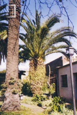 Jardines Museo