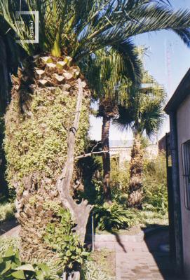 Jardines Museo