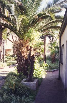 Jardín del Museo