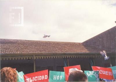 Paloma volando durante Acto en el Museo