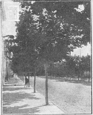 Calle Sarmiento, frente a Plaza Mitre