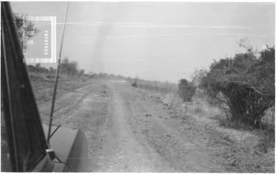 Circuito Parque Costanero, en el camino