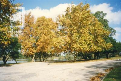 Costanera Barrio Somisa