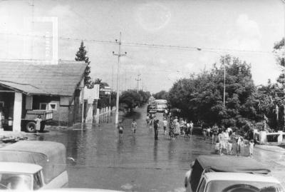 La Emilia. Inundación. Gente por la calle