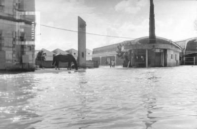 La Emilia. Inundación.