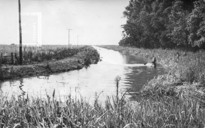 Ruta 188. Canal que desagua desde La Emilia, 24 horas después del pico máximo de desborde
